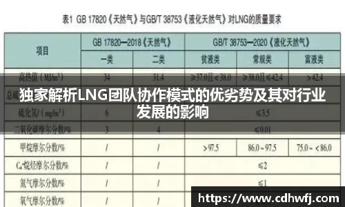 独家解析LNG团队协作模式的优劣势及其对行业发展的影响